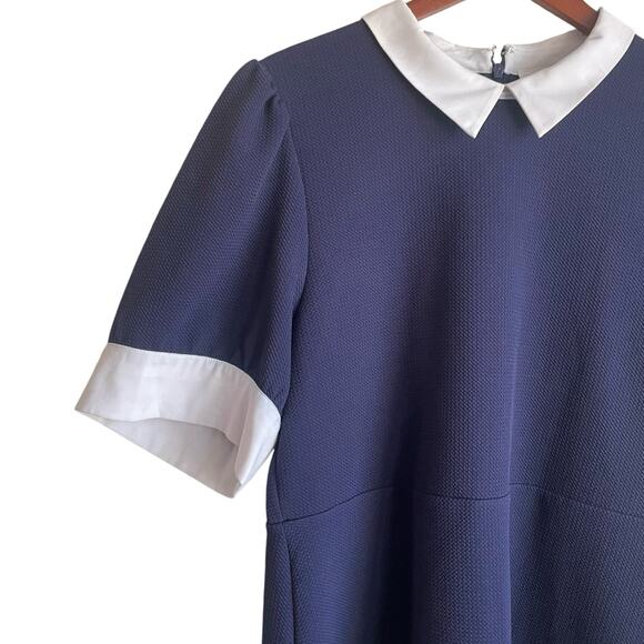 Riley & Rae Sheath Women Dress XL Textured Peterpan Collar Preppy Academia Twee - Picture 8 of 12